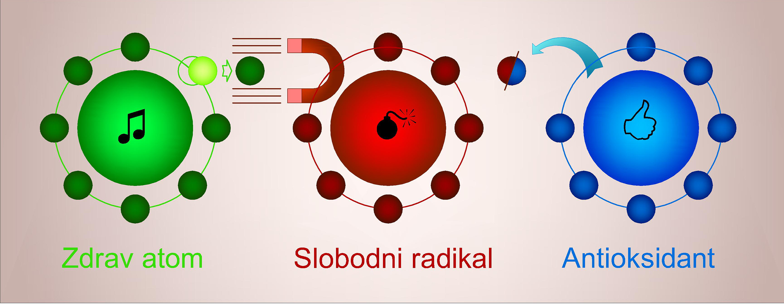 antioksidanti i slobodni radikali